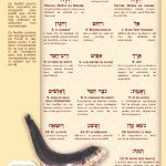 Les 13 attributs de miséricorde – Vayavor