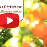 Tou Bichevat: Fructifions nos mérites