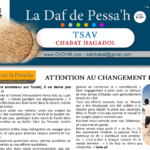 La Daf de Pessa’h – Chabah Hagadol – TSAV