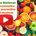🌳 Tou Bichevat : Reconnaître les merveilles d’Hachem