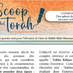 Chemini – Des sabots fendus au cœur entier