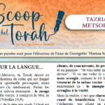 Le Scoop de TAZRIA-METSORA