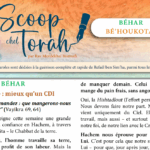 Le Scoop de Behar Behoukotai : Détaché ou attaché ? À toi de choisir le bon contrat