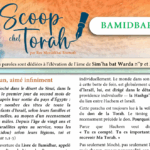 Le Scoop de Bamidbar – Chavouot
