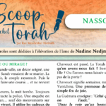 Le Scoop de NASSO