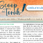 Le Scoop de Chéla’h lékha
