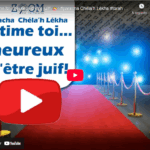 Estime toi…heureux d’être juif! 👑: #paracha Chéla’h Lékha #torah #israel