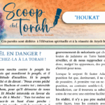 Le Scoop de ‘Houkat