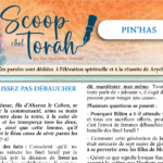 Le Scoop de Pin’has