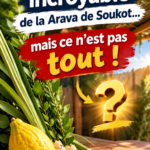 🌿 Ségoula de la Arava de Soukot 